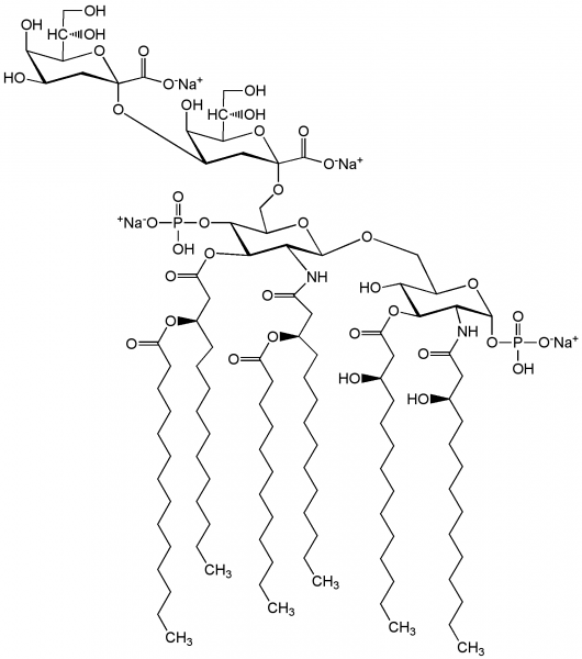 Kdo2-Lipid A (ready-to-use)