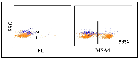 Anti-CD2 (swine), clone MSA4