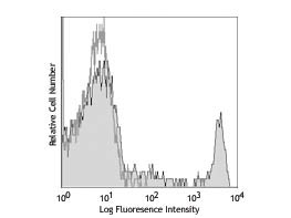 Anti-CD8a Phycoerythrin Conjugated, clone 53-6.7