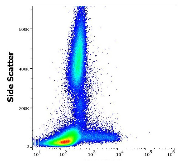 Anti-CD200, clone OX-104 (PE )