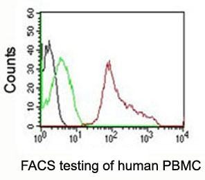 Anti-CD63 PE Conjugate, clone MX-49.129.5