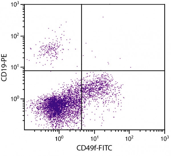 Anti-CD49f / Integrin alpha 6 (FITC), clone 4F10