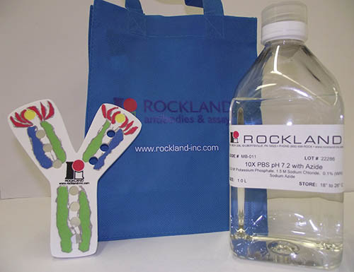 PBS pH 7.2 (10X ), with Azide (0.2 M Potassium Phosphate 1.5 M Sodium Chloride 0.1% (W/V) Sodium Azi