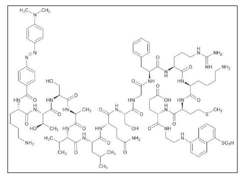 3CL Protease Substrate