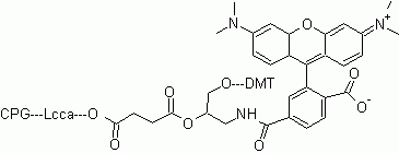 6-TAMRA CPG *1000 Å*