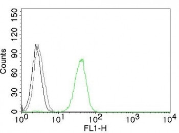 Anti-CD31 / PECAM-1, clone JC/70A