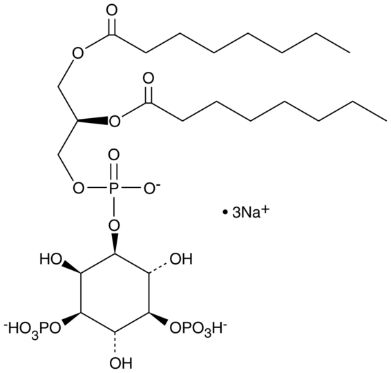 PtdIns-(3,5)-P2 (1,2-dioctanoyl) (sodium salt)