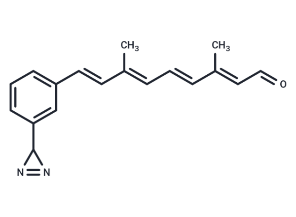 3-Diazirinophenylretinal