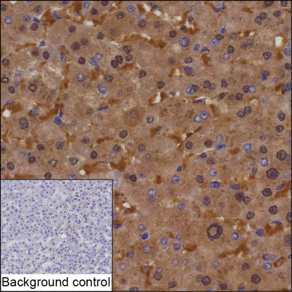 Anti-DNPH1