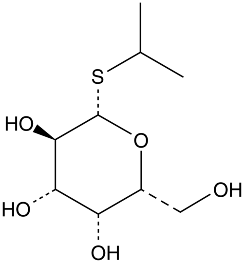 IPTG (dioxane free)