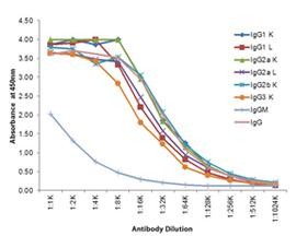 Anti-Mouse IgG (gamma 1, 2a, 2b and 3 chain) [Rabbit] Peroxidase conjugated