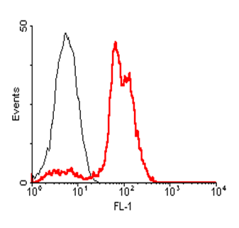 Anti-ACE2 (human), clone AC18F, Biotin conjugated