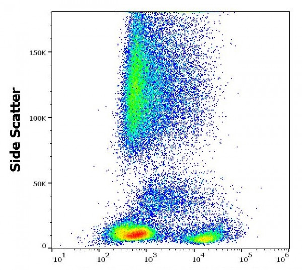 Anti-CD42a, clone GR-P