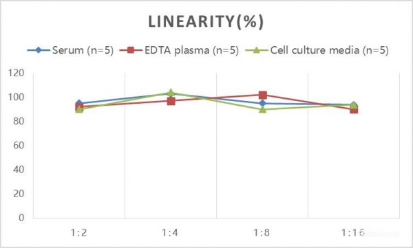 Mouse ECF/CCL11 (Eosinophil Chemotactic Factor) ELISA Kit