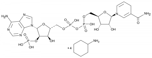 NADPH (cyclohexyl ammonium salt)