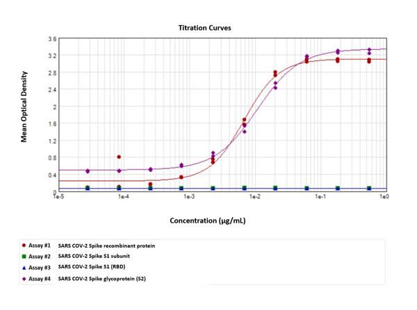 SARS-CoV-2 Whole Spike Protein Antibody