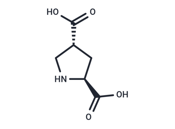 L-trans-2,4-PDC