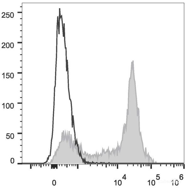 Anti-Mouse CD38 (PE Conjugated)[NIMR5], clone NIMR5