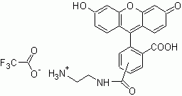 5(6)-FAM ethylenediamine