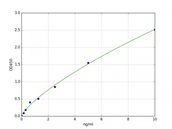 Human P63 ELISA Kit