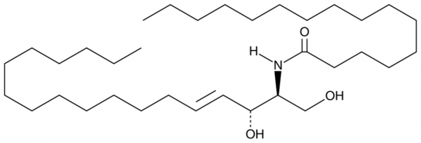 C16 Ceramide (d18:1/16:0)