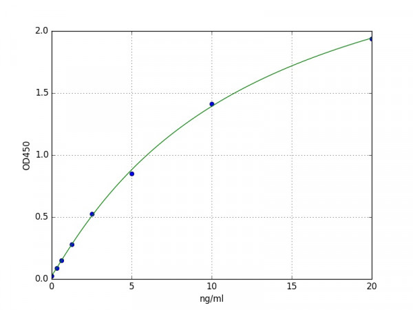 Human NFkB p100 ELISA Kit