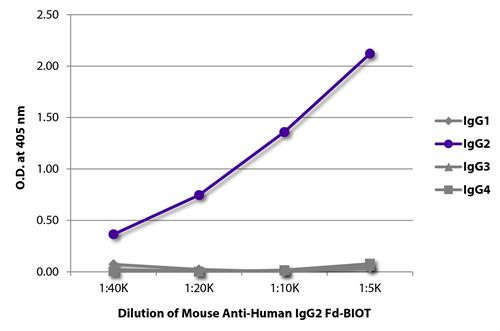 Anti-Human IgG2 Fd [HP6014] (Biotin) [Mouse]