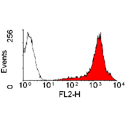 Anti-CD45 (RPE), clone OX-1
