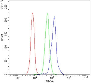 Anti-Cd82