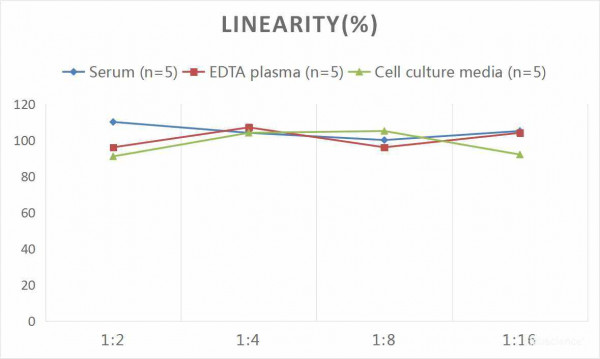 Human GFAP (Glial Fibrillary Acidic Protein) CLIA Kit