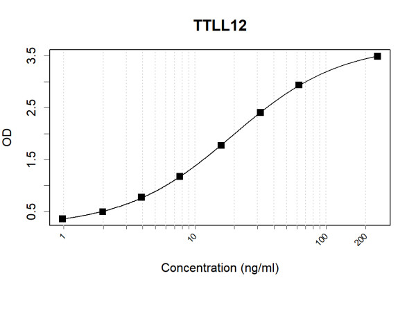 Anti-Human TTLL12 Antibody Pair