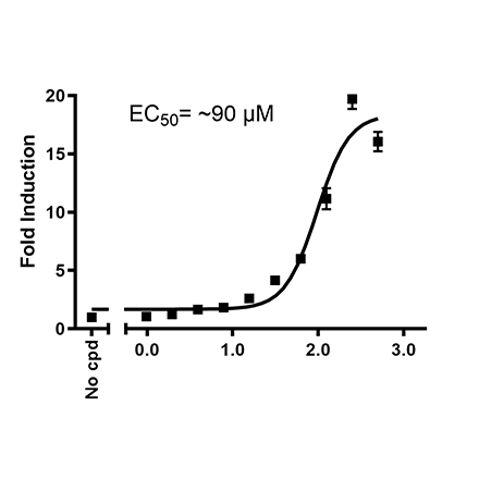 HRE Luciferase Reporter ME-180 Cell Line