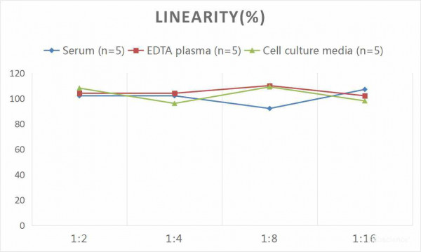 Human IL-1beta (Interleukin 1 Beta) CLIA Kit