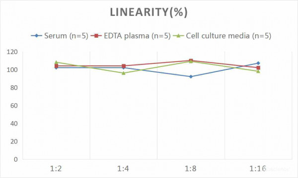 Human IL-1beta (Interleukin 1 Beta) CLIA Kit