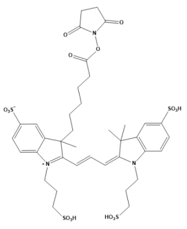 UGA 555 NHS ester [equivalent to Alexa Fluor 555 NHS ester]
