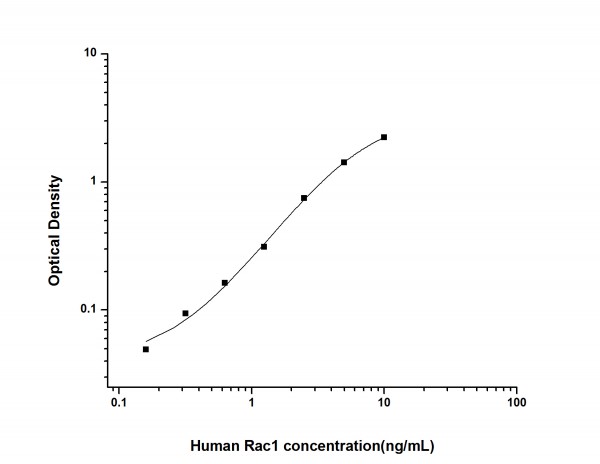 Human Rac1 (Ras Related C3 Botulinum Toxin Substrate 1) ELISA Kit