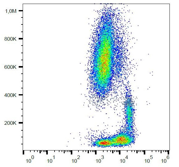 Anti-CD29, clone MEM-101A (APC)