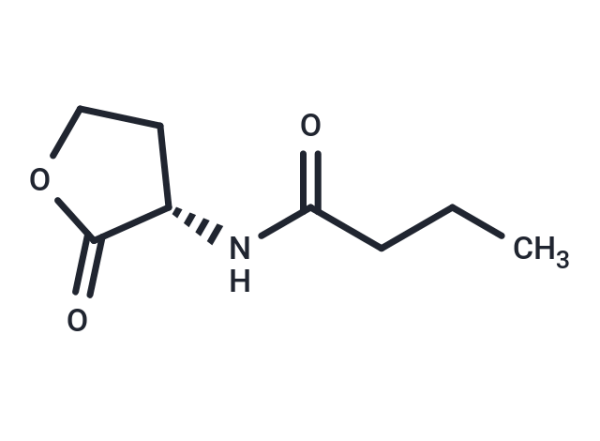 N-Butanoyl-L-homoserine lactone