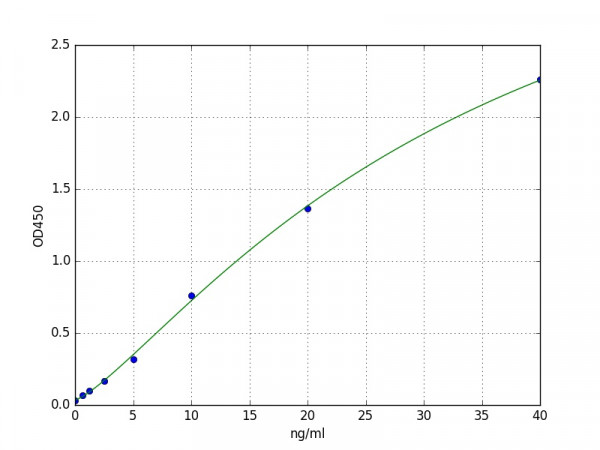 Human PDXP / Pyridoxal phosphate phosphatase ELISA Kit