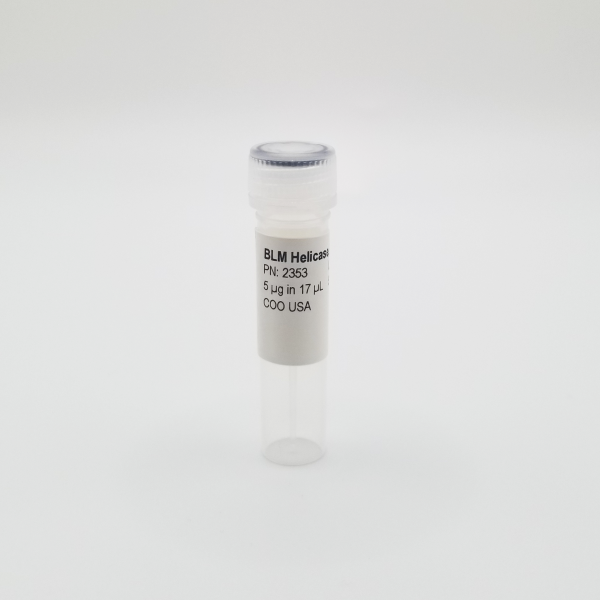 Recombinant BLM Helicase Enzyme, Active, Human