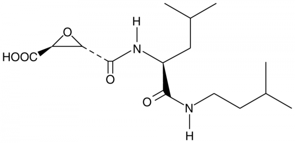 E-64c