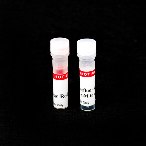Yeast Vitality Staining Kit (Calcofluor White and ViaVac Red/Green)