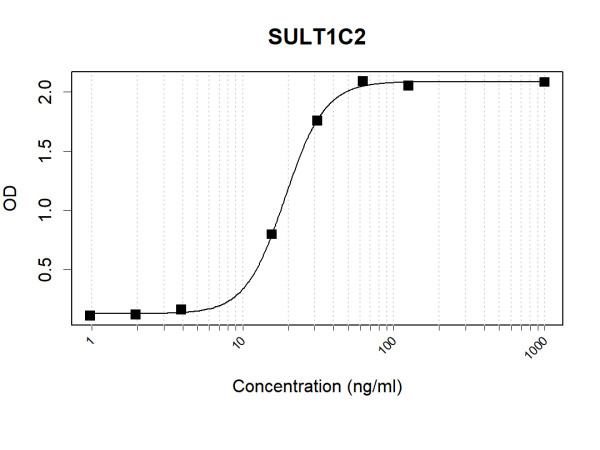 Anti-Human SULT1C2 Antibody Pair