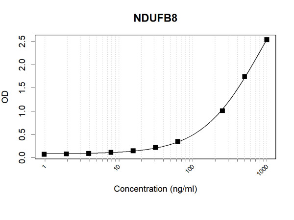 Anti-Human NDUFB8 Antibody Pair