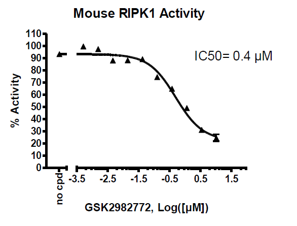 RIPK1 Kinase (Mouse) Assay Kit