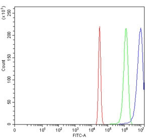 Anti-hHR23A / RAD23A