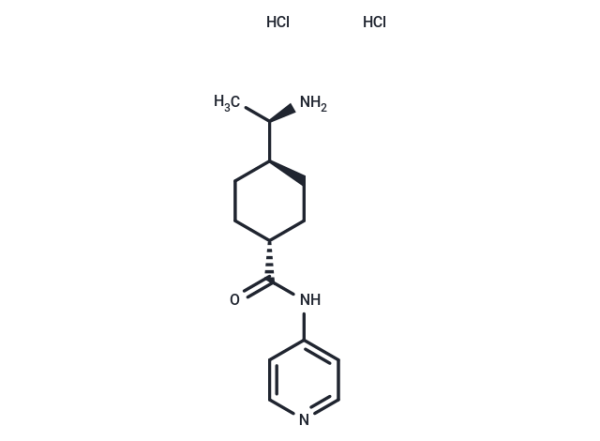 Y-27632 dihydrochloride