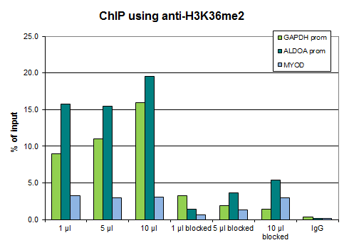 Anti-H3K36me2