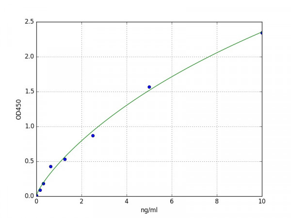 Mouse Eef2 / Elongation factor 2 ELISA Kit