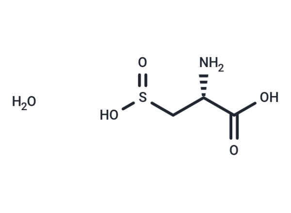 L-Cysteinesulfinic acid monohydrate